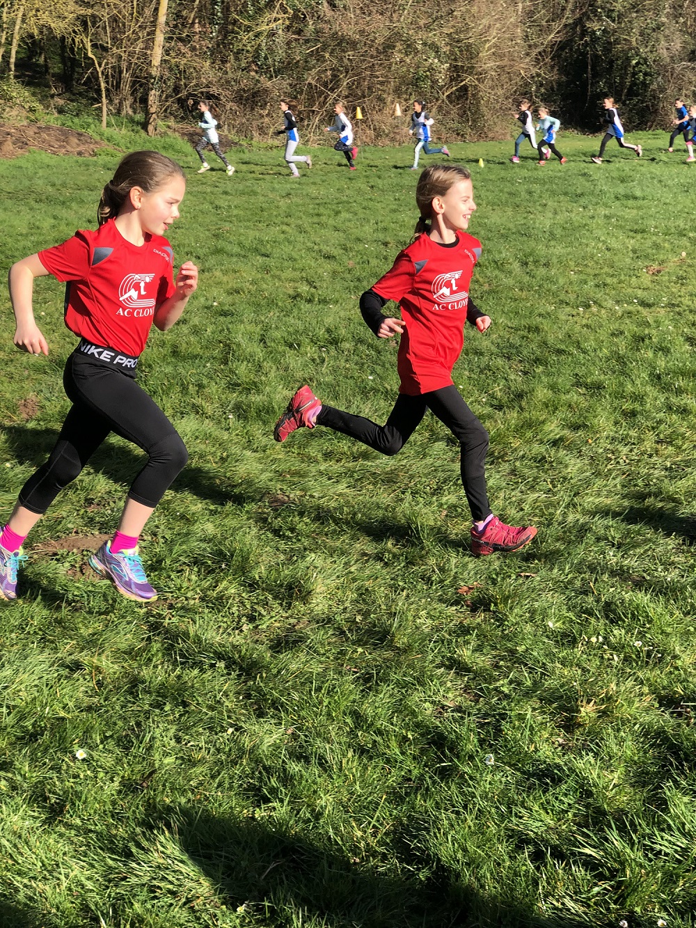 jouy2