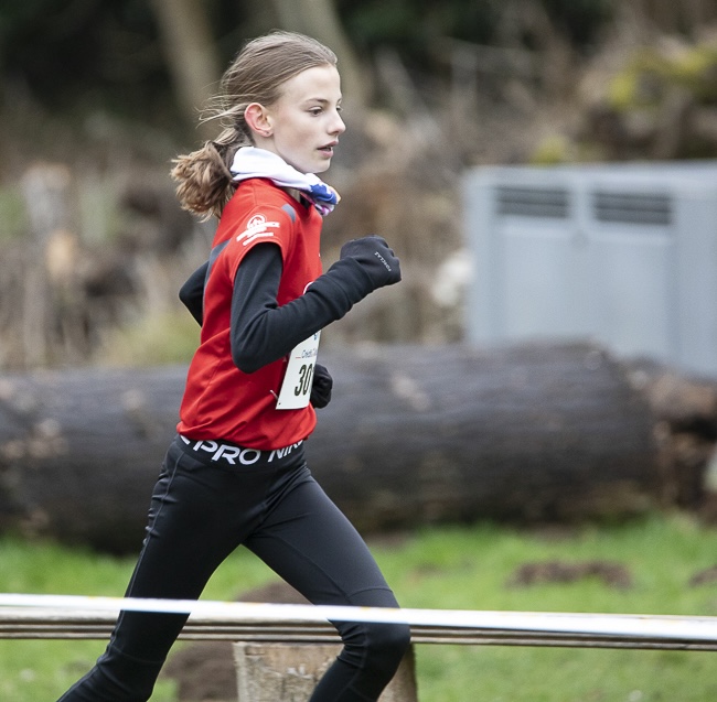 cross elsa 25.01.26