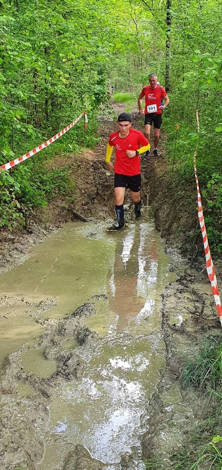 manu cercottes