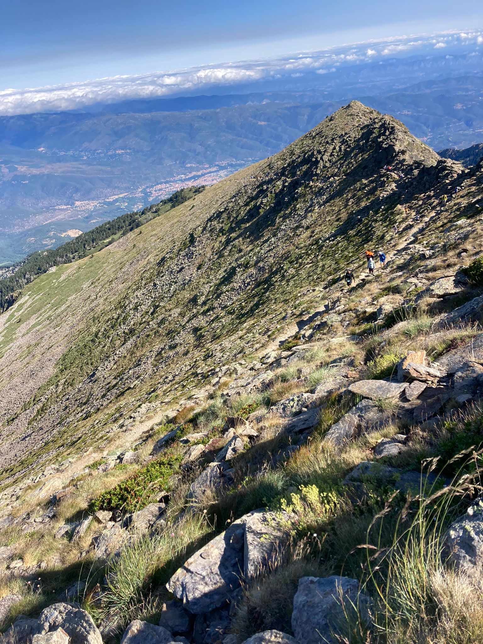 trail fred2