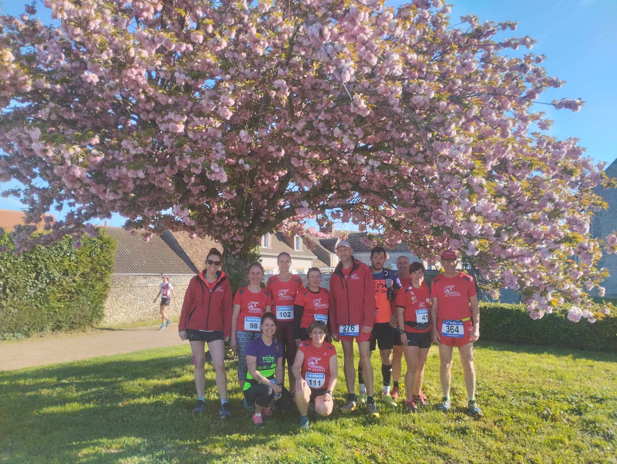 Trail Marolles