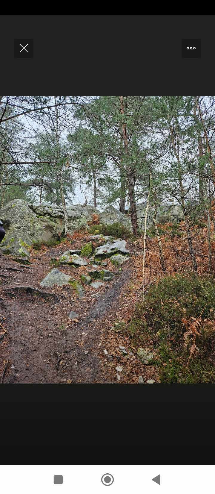 aufargis2