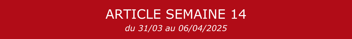 BANNIERE S14