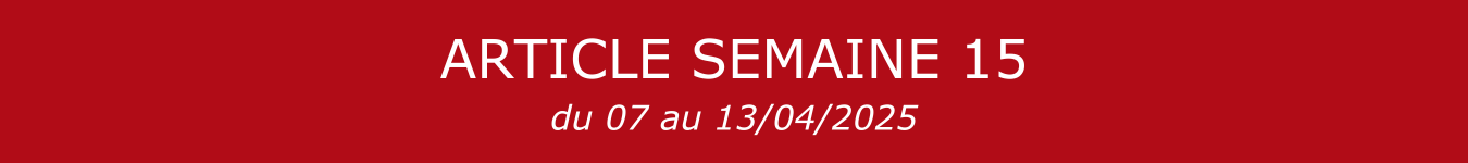 BANNIERE S15