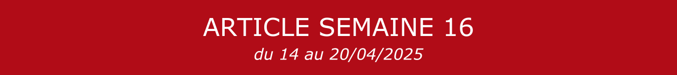 BANNIERE S16