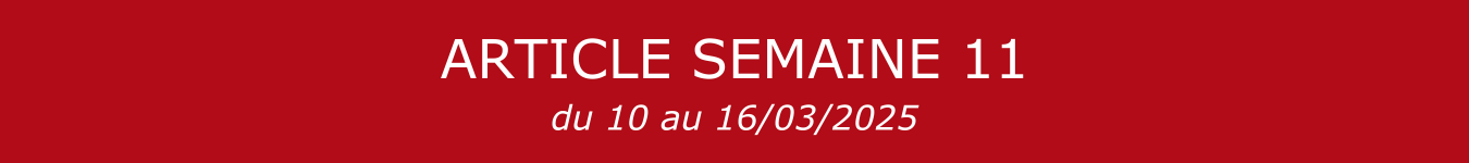 BANNIERE S11