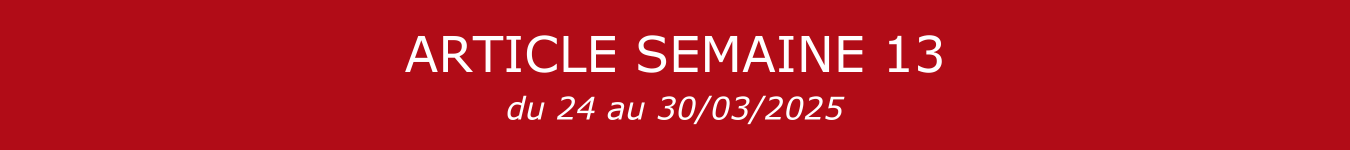 BANNIERE S13